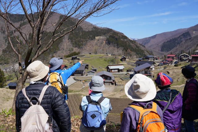 カタクリの咲く春の種蔵 満喫ツアー | 体験 | 飛騨市公式観光サイト「飛騨の旅」